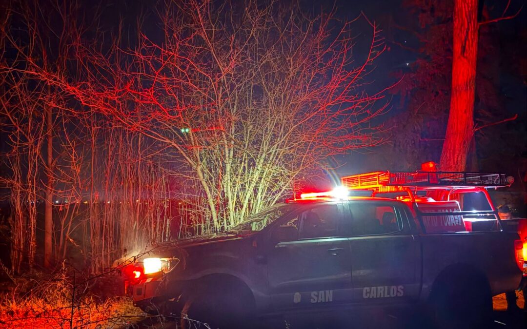 Bomberos sofocaron un incendio de forestales y malezas sobre la Ruta 40 Vieja en San Carlos