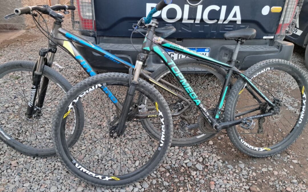 La Policía recuperó dos bicicletas de dudosa procedencia y detuvo a un sujeto en Tupungato