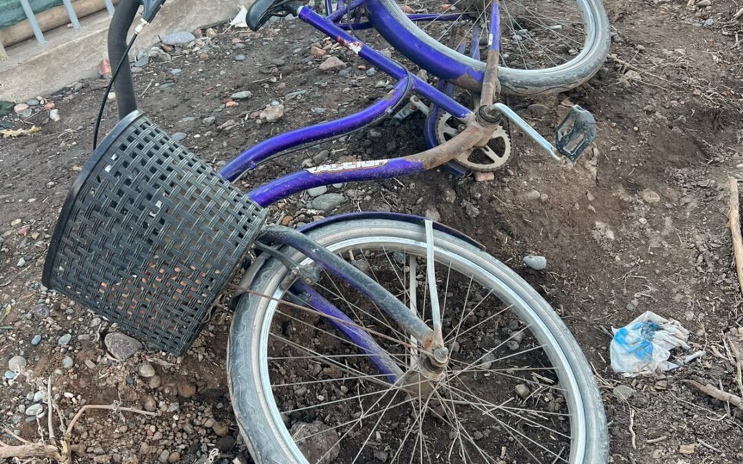 Rápida respuesta policial en Tunuyán tras el robo de una bicicleta en pleno centro