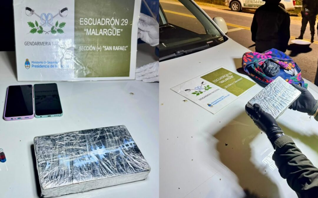Mendoza: Incautan cocaína y marihuana durante el control de una camioneta