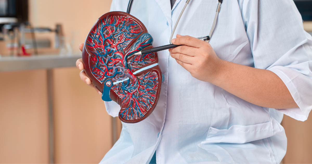 Identifican una nueva vía para potenciar la inmunoterapia contra el cáncer de hígado