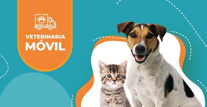 Turnos por orden de llegada: así funcionará la Veterinaria Móvil de Tunuyán este 18 y 19 de agosto