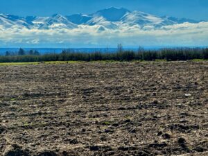 Viernes con poco cambio de la temperatura en Mendoza