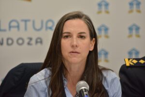 Tapiado, clausura y demolición: qué propone la “Ley Aguantaderos” que analiza el Senado