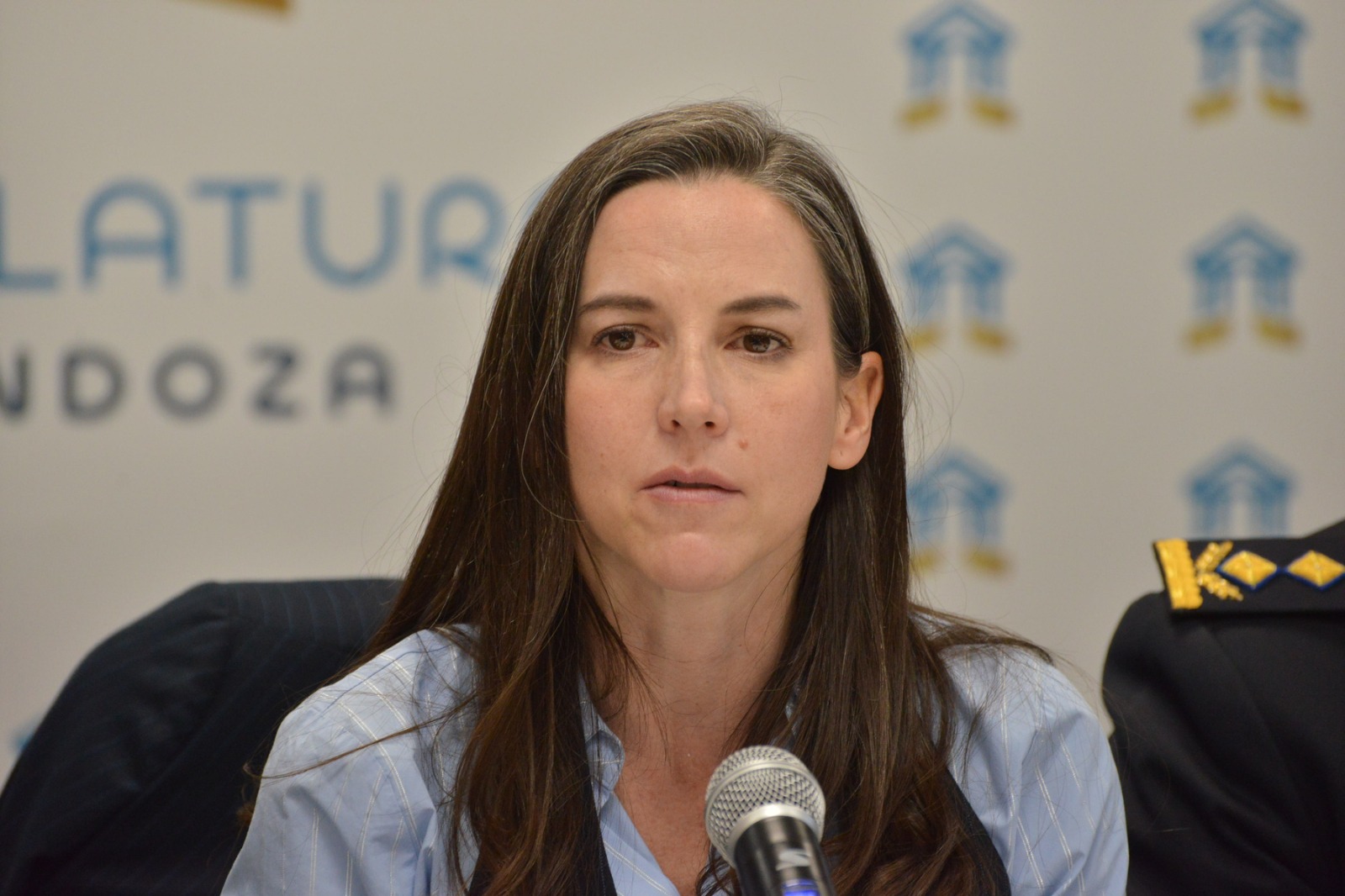 Tapiado, clausura y demolición: qué propone la “Ley Aguantaderos” que analiza el Senado