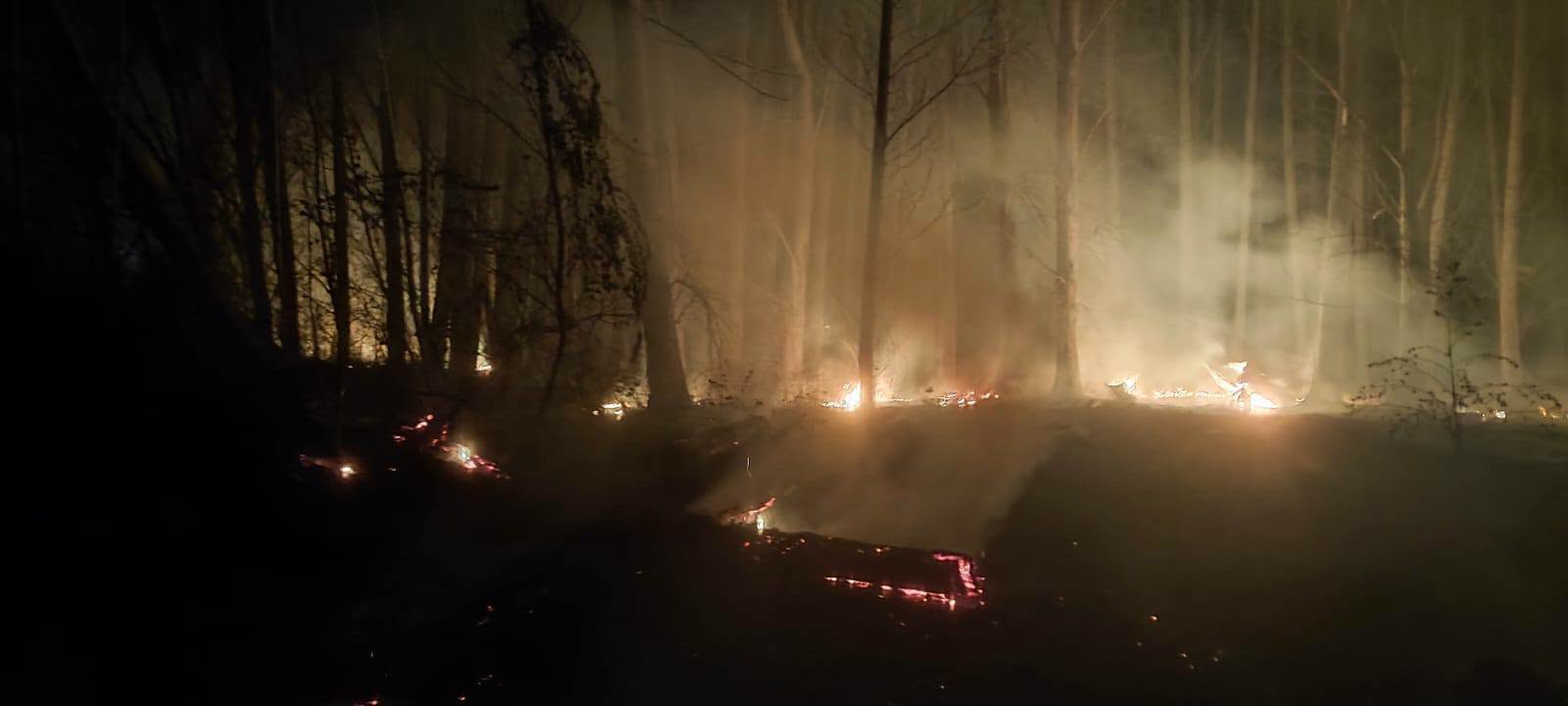 Incendio en San Carlos: las llamas alcanzaron 20 hectáreas de álamos y malezas