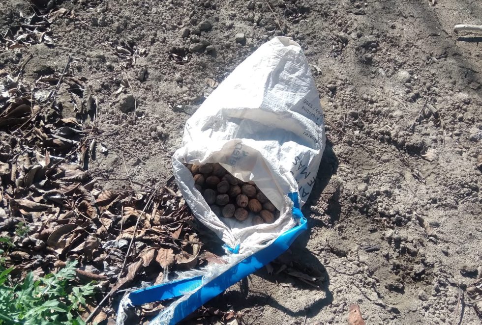 La Policía frustró un hurto en una finca de Tupungato y recuperó 15 kilos de nueces