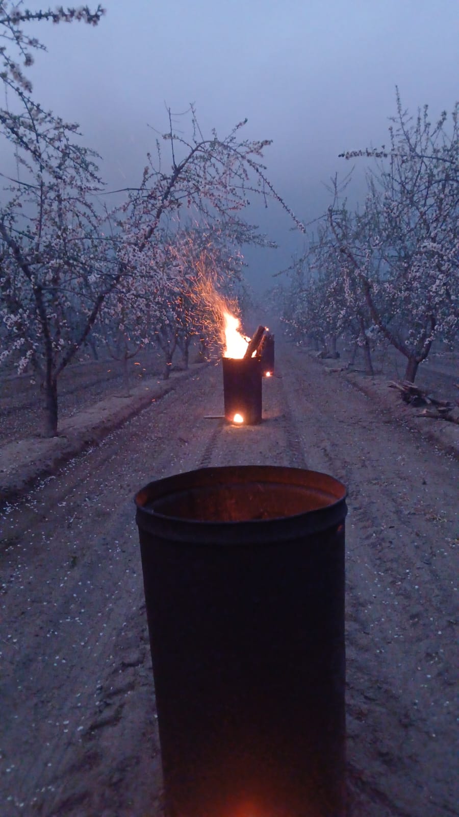 Las bajas temperaturas volvieron a afectar a los oasis productivos de Mendoza, con registros bajo cero y marcas de hasta -7,4°C en Casas Viejas, San Carlos.