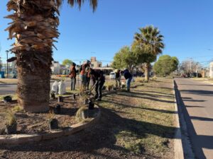 Tunuyán suma un nuevo espacio de plantas nativas en el barrio Fenca