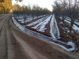 Otra mañana bajo cero: fuertes heladas se registraron este martes en distintos puntos del Valle de Uco