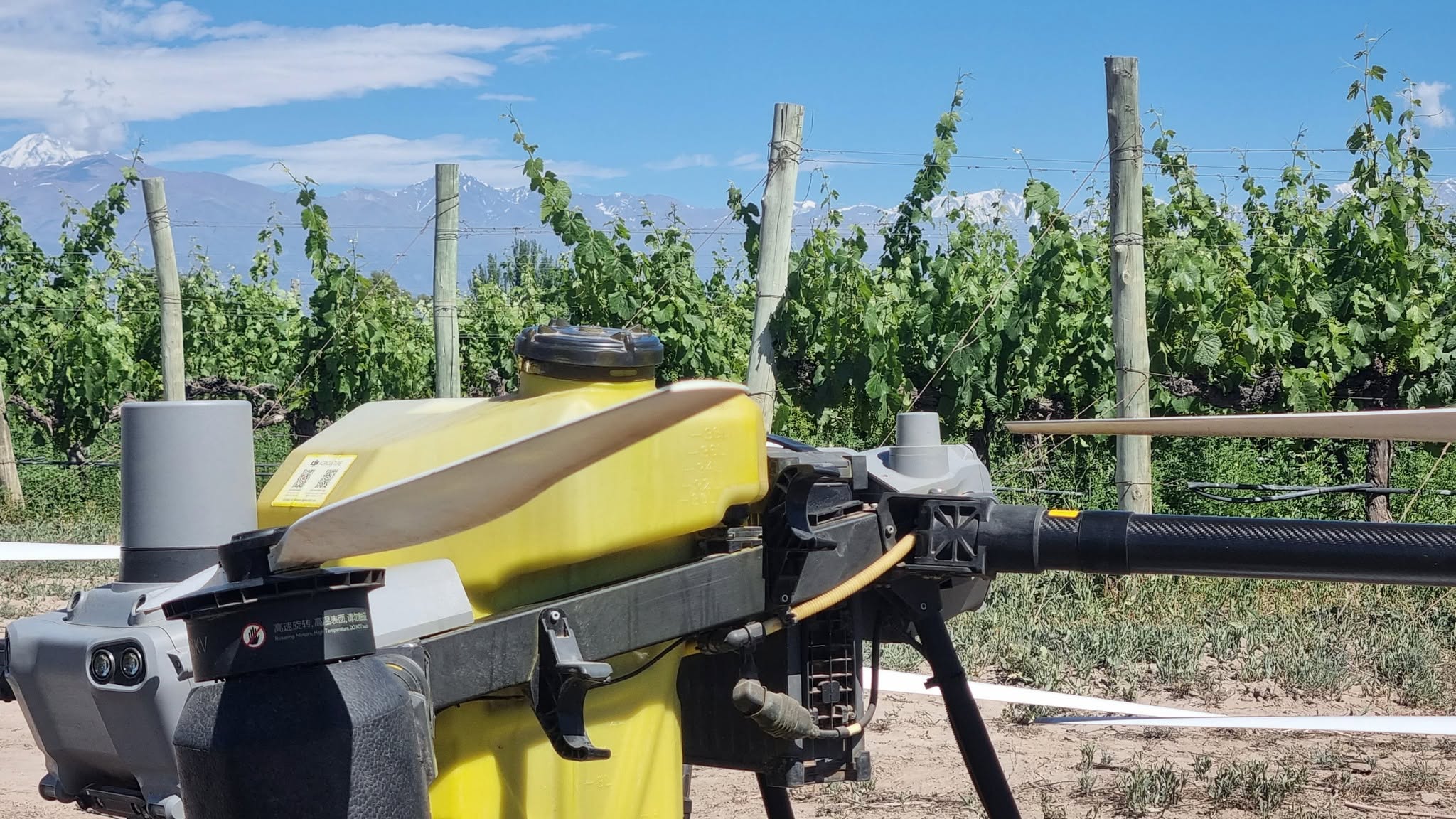 MÁS LLUVIAS, MÁS PREVENCIÓN PARA LOS CULTIVOS El aumento de las precipitaciones y la humedad favorecen las enfermedades fúngicas que pueden afectar la vid, los frutales y las hortalizas en Mendoza.  Desde ISCAMEN recomiendan aplicar tratamientos preventivos, mejorar el drenaje y monitorear los cultivos después de cada tormenta.