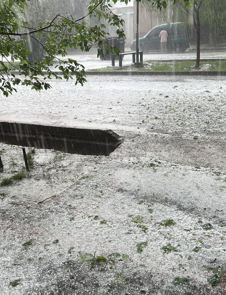 Tormentas en Mendoza: 63 novedades registradas, con Guaymallén y Godoy Cruz como los departamentos más afectados